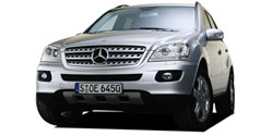 ��륻�ǥ����٥�� �ͥ��饹 W164