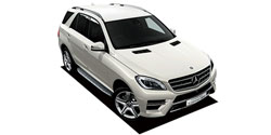 ��륻�ǥ����٥�� �ͥ��饹 W166