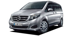 ��륻�ǥ����٥�� �֥��饹 W447&nbsp;/&nbsp;BR447