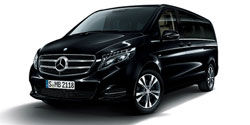 ��륻�ǥ����٥�� �֥��饹 W447&nbsp;/&nbsp;BR447