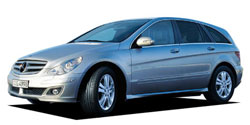 ��륻�ǥ����٥�� �ҥ��饹 W251