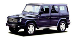 ��륻�ǥ����٥�� �ǥ��饹 W463