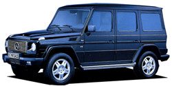 ��륻�ǥ����٥�� �ǥ��饹 W463