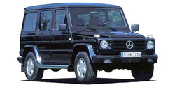 ��륻�ǥ����٥�� �ǥ��饹 W463