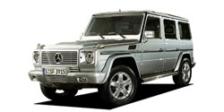 ��륻�ǥ����٥�� �ǥ��饹 W463