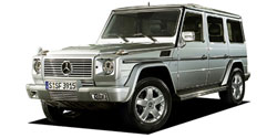 ��륻�ǥ����٥�� �ǥ��饹 W463