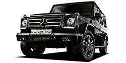 ��륻�ǥ����٥�� �ǥ��饹 W463