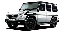 ��륻�ǥ����٥�� �ǥ��饹 W463