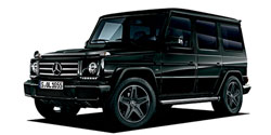 ��륻�ǥ����٥�� �ǥ��饹 W463&nbsp;/&nbsp;BR463
