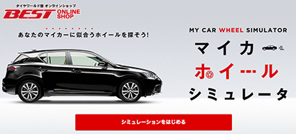 �ޥ������ۥ����륷�ߥ�졼��