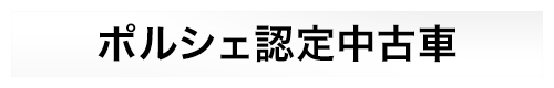 �ݥ륷��ǧ����ż�