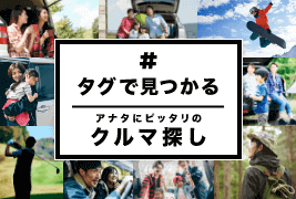 �����Ǹ��Ĥ��륢�ʥ��˥ԥå���Υ����õ��