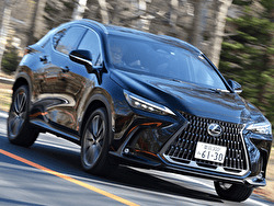 ���ˤʤ�SUV�Υ��������㤤���ɡإ쥯����NX��