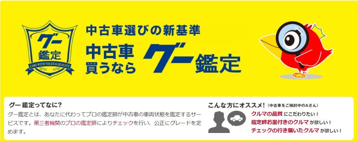 グー鑑定とは？車の補修痕や状態を検査する鑑定師に聞いてみた！