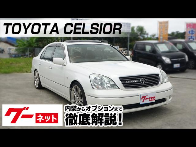 �ڥȥ西 ���륷����30�� C���� F�ѥå����� ����ƥꥢ���쥯�����
