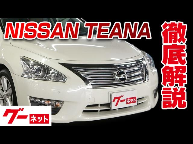 ������ �ƥ����ʡ�L33�� XV �����ͥå�ư�襫������_�������饪�ץ����ޤ�Ű�����