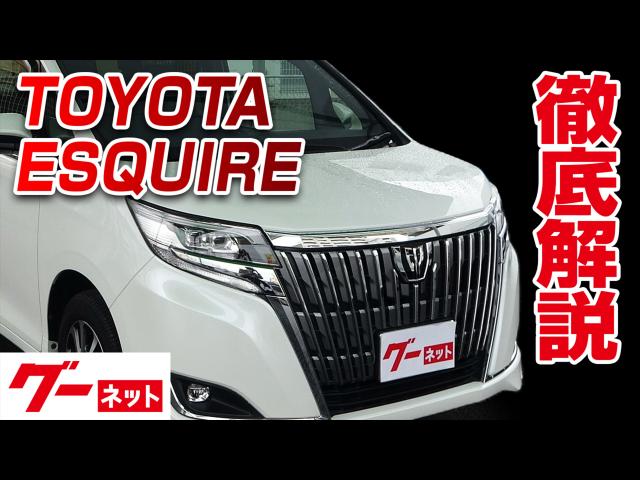 �ڥȥ西 ��������������80�� Gi �����ͥå�ư�襫������
