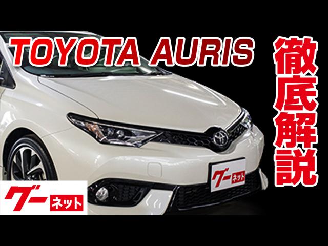 �ڥȥ西 �����ꥹ��180�� 120T RS�ѥå����� �����ͥå�ư�襫������