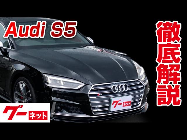 �ڥ����ǥ� S5��F5 �١������졼�� �����ͥå�ư�襫������