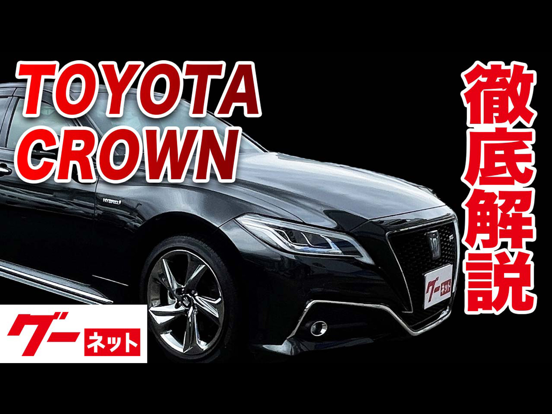 �ڥȥ西 ���饦��� �����ͥå�ư�襫������