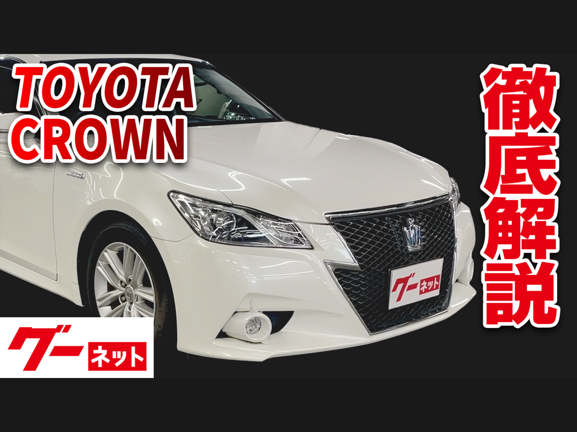 �ڥȥ西 ���饦�󡦥����꡼�ȥϥ��֥�åɡ�210�� �����꡼��S �����ͥå�ư�襫������