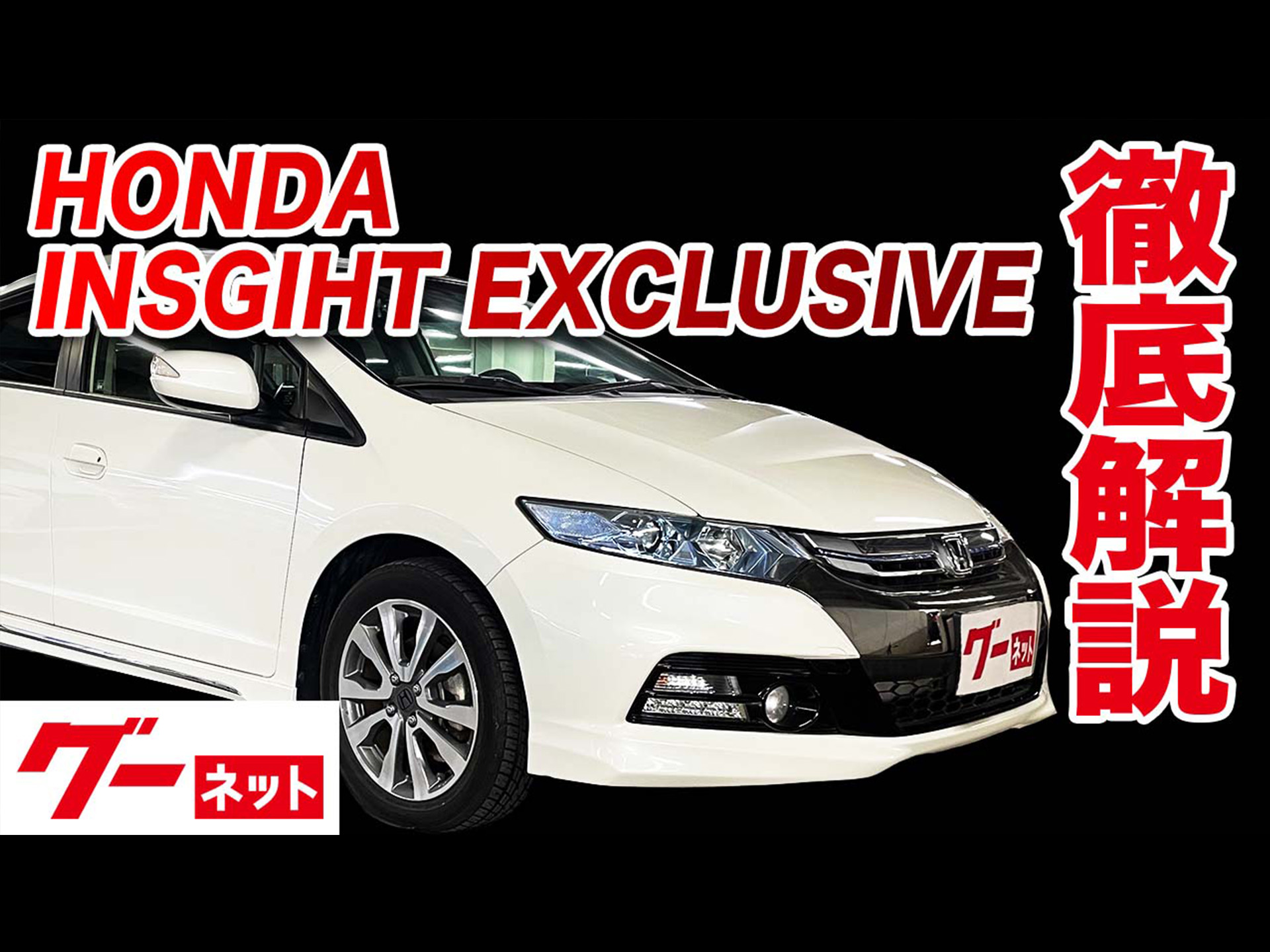 �ڥۥ�� ���󥵥��ȥ��������롼���֡�XL ���󥿡��ʥӥ��쥯�� �����ͥå�ư�襫������