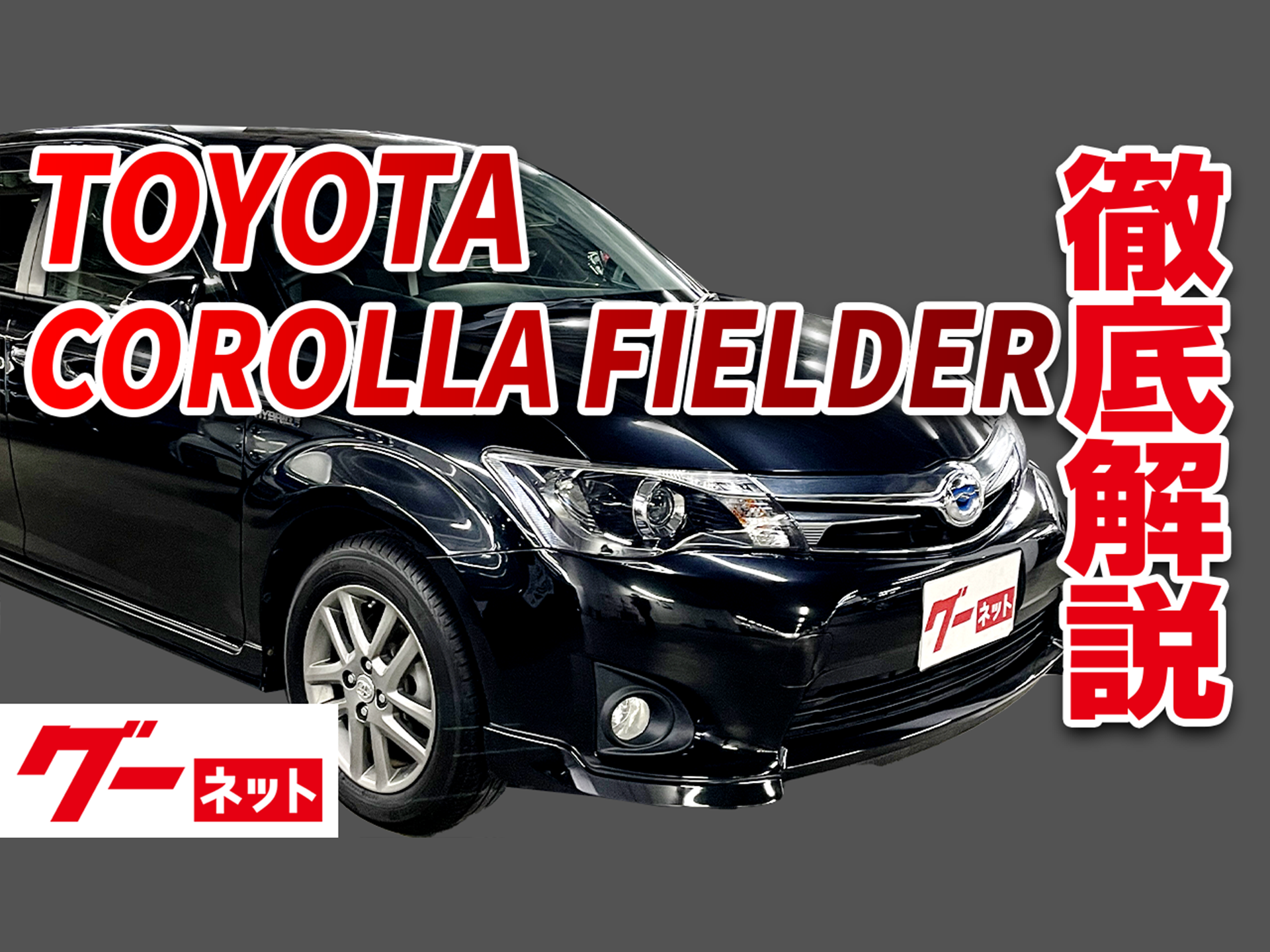 �ڥȥ西 ��������ե���������� �ϥ��֥�åɣǥ����ͥå�ư�襫������