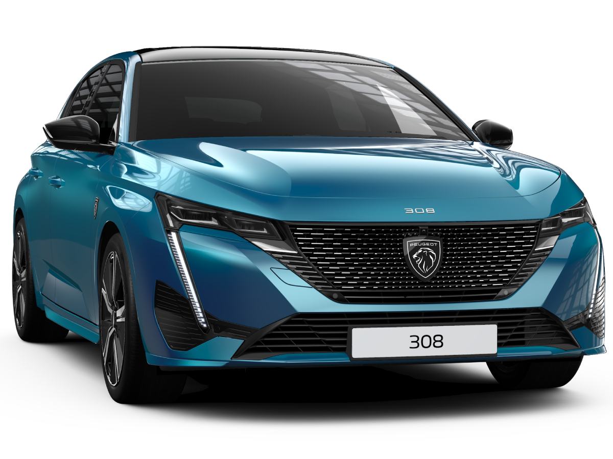�ץ��硼��308�� ���饤�ǥ��󥰥롼����ܡ���̥�ǤΥ֥롼�ɤǸ����̤ä����̻��ͼ�