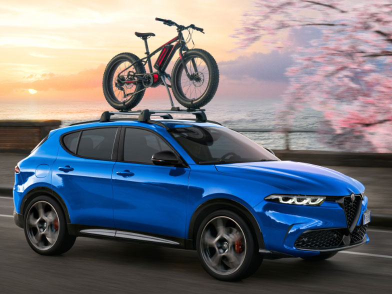 ����ե����ᥪ �֥ȥʡ���ץ����ȥɥ��ɤ˥��쥷������ʪ��ܤ������ʤ����̻��ͼ�