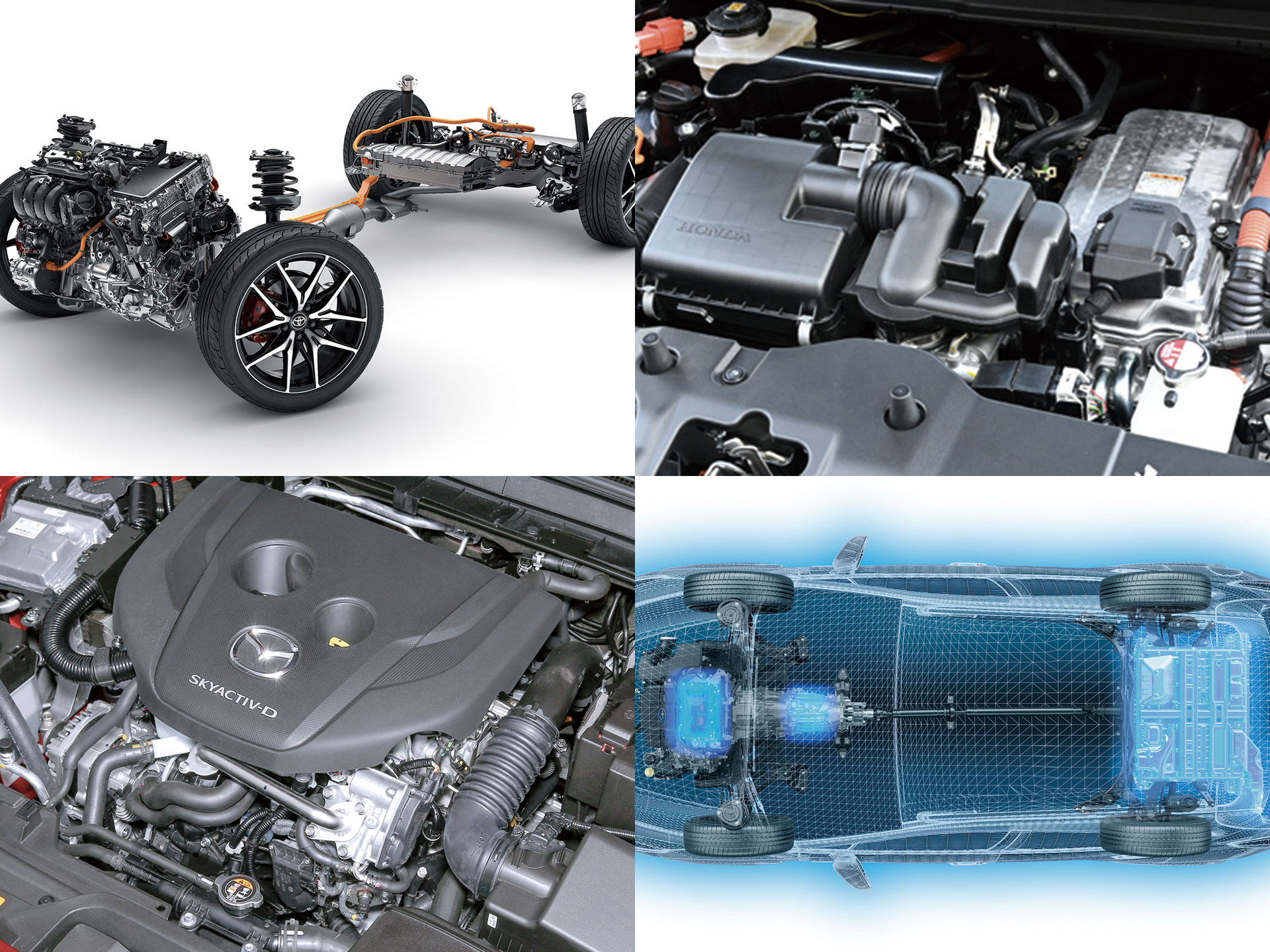 ��2025�ǿ��ǡե���ѥ���SUV���Ͽޡ��ᥫ�˥����������