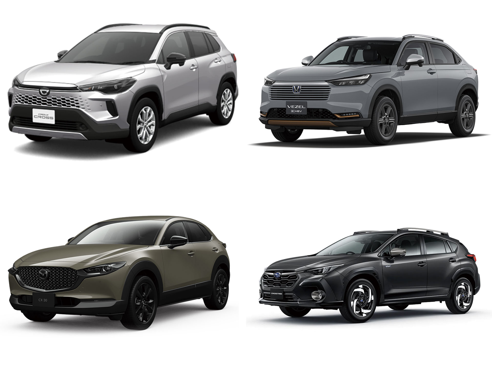��2025�ǿ��ǡե���ѥ���SUV���Ͽޡ�������