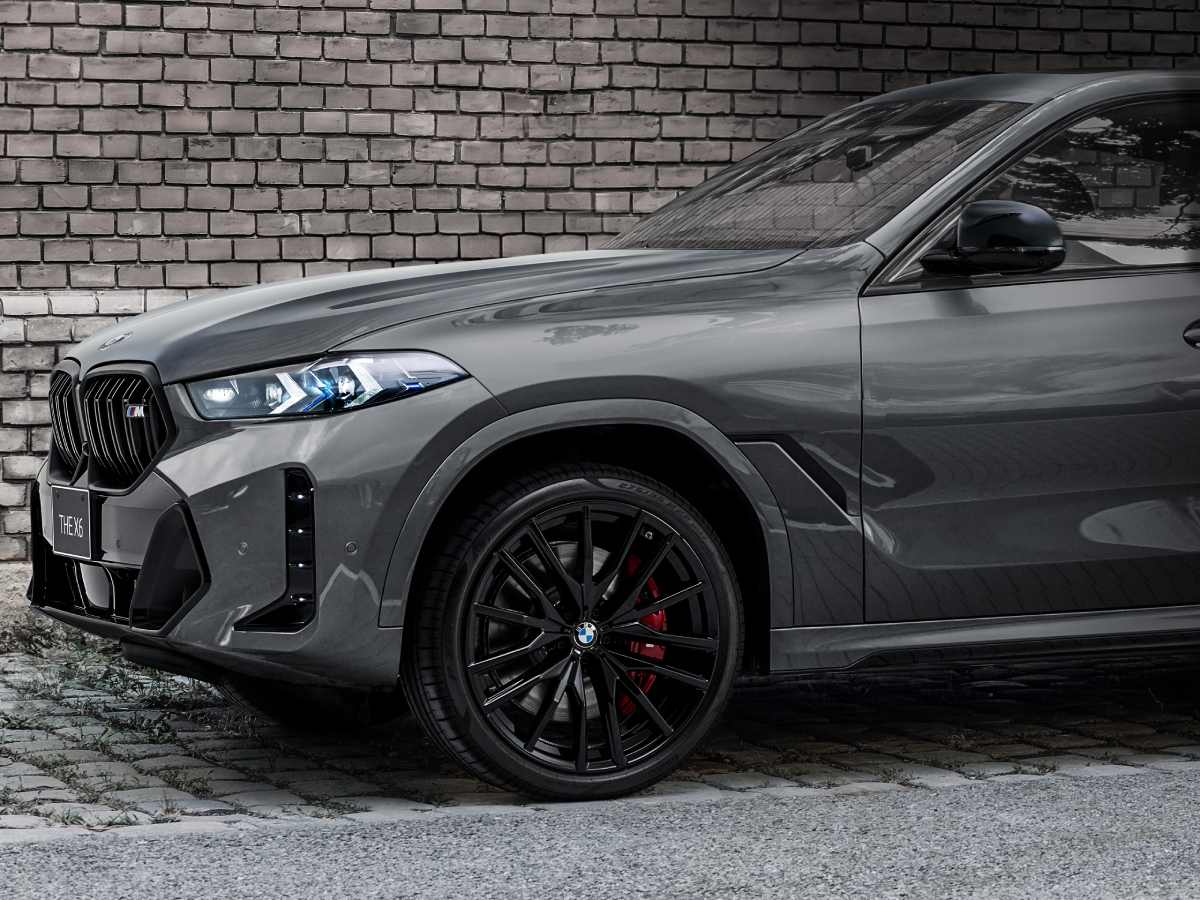 BMW��X6��ͥ���ʥ����ڥե����˱Ǥ���ȹ��� ��������᤿�����ǥ�