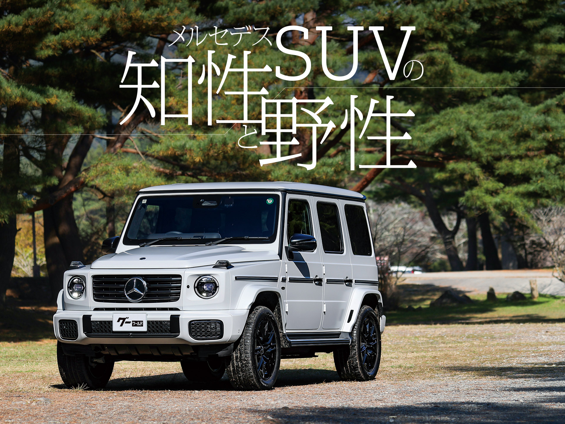 ��륻�ǥ����٥�Ĥ������֥饰���奢�꡼�ŵ�SUV�פ�������������Ķ����¸�ߴ��Ȥ�
