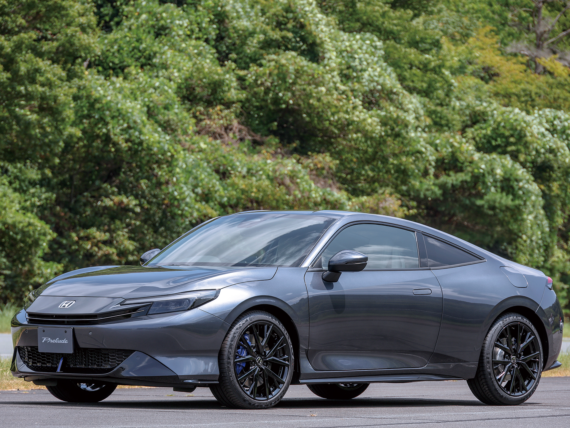 2025�ڽ������ܥ�ǥ��������إץ��塼�ɡ�