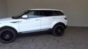 ��󥸥����С�����������&nbsp;�ԥ奢���ر�֡���Ͽ�����ϡ��ե쥶�������饹�롼�ա����ꥸ�ʥ�֥�å����ס����ʥʥӣԣ֡��֥롼�ȥ��������ͣţңɣģɣ��Ρ��¥���顿�ȣɣġ����ڥ����������륳�󡿥����ȥҡ��������ѥɥ륷�եȡ��ѥ�����ȡ�