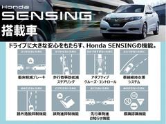 �ۥ�����󥷥󥰤ϥ졼�����ȥ����ˤ�ꡢ���Ͳ����ٱ礷���ﳲ��ڸ����ޤ��� 4