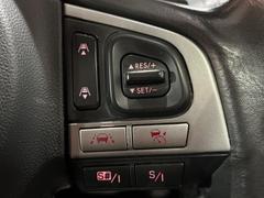 ������®�ɽ���ǽ�ե��롼������ȥ�����۹�®ƻϩ�Ǥ�Ĺ��Υ���Ԥ��ڤˡ�����ư��®�٤��ݤĥ��롼������ȥ����뤬�����ͷڸ������ƥ��Ϣ�Ȥ��������μ�ξ���Τ��Ƽִ֤��ݤĤ褦��®��Ĵ�ᤷ�Ƥ���ޤ����� 6