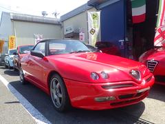 ����ե����ѥ����� �١������졼�� 0205737A30230606W001 7