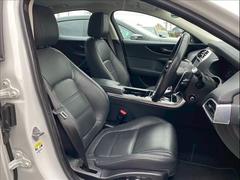 ���㥬���ʤ�ǤϤι�鴶���������ϰ츫�β��ͤ���� 5