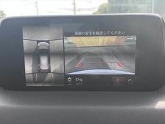 �������̥���顡�Хå������ 5