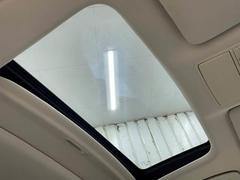 �������Τ���͵������ƥ�Ρڥ���롼�ա���ܡ� 5
