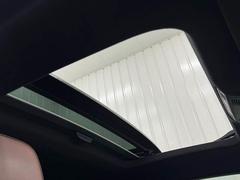 �������Τ���͵������ƥ�Ρڥ���롼�ա���ܡ� 5