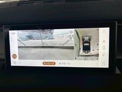 �������ϥ�˥����ۤ��������Ƥ���ޤ��������ϥ����Ǵ������Ρ�������־�Ǥ�¿�������֤Ǥ��ޤ��͡� 5