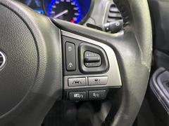 ������®�ɽ���ǽ�ե��롼������ȥ�����۹�®ƻϩ�Ǥ�Ĺ��Υ���Ԥ��ڤˡ�����ư��®�٤��ݤĥ��롼������ȥ����뤬�����ͷڸ������ƥ��Ϣ�Ȥ��������μ�ξ���Τ��Ƽִ֤��ݤĤ褦��®��Ĵ�ᤷ�Ƥ���ޤ����� 7