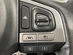 ������®�ɽ���ǽ�ե��롼������ȥ�����۹�®ƻϩ�Ǥ�Ĺ��Υ���Ԥ��ڤˡ�����ư��®�٤��ݤĥ��롼������ȥ����뤬�����ͷڸ������ƥ��Ϣ�Ȥ��������μ�ξ���Τ��Ƽִ֤��ݤĤ褦��®��Ĵ�ᤷ�Ƥ���ޤ����� 7
