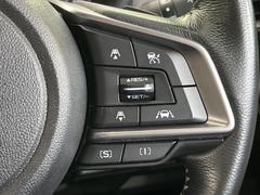 ������®�ɽ���ǽ�ե��롼������ȥ�����۹�®ƻϩ�Ǥ�Ĺ��Υ���Ԥ��ڤˡ�����ư��®�٤��ݤĥ��롼������ȥ����뤬�����ͷڸ������ƥ��Ϣ�Ȥ��������μ�ξ���Τ��Ƽִ֤��ݤĤ褦��®��Ĵ�ᤷ�Ƥ���ޤ����� 5