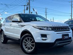 ��󥸥����С����������� �ԥ奢���ر�֡����ףĥ����ܡ������ʥӡ��¥���� 0403344A30241208W004 2