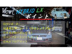 �ӥ塼�� ���ȡ��꡼ �ϥ��֥�åɣ̣ء����ѥ쥶�������ȡʥ�������ɥ֥롼�ˡ����Ѳþ��ѥͥ륻�åȡ��֣��������ե����ޥå� 0503570A30251012W003 2