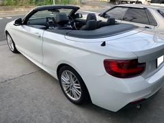 �����꡼�� �������饫�֥ꥪ�졡�ͥ��ݡ��� 0509316A30251018W002 4