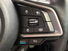 ������®�ɽ���ǽ�ե��롼������ȥ�����۹�®ƻϩ�Ǥ�Ĺ��Υ���Ԥ��ڤˡ�����ư��®�٤��ݤĥ��롼������ȥ����뤬�����ͷڸ������ƥ��Ϣ�Ȥ��������μ�ξ���Τ��Ƽִ֤��ݤĤ褦��®��Ĵ�ᤷ�Ƥ���ޤ����� 5